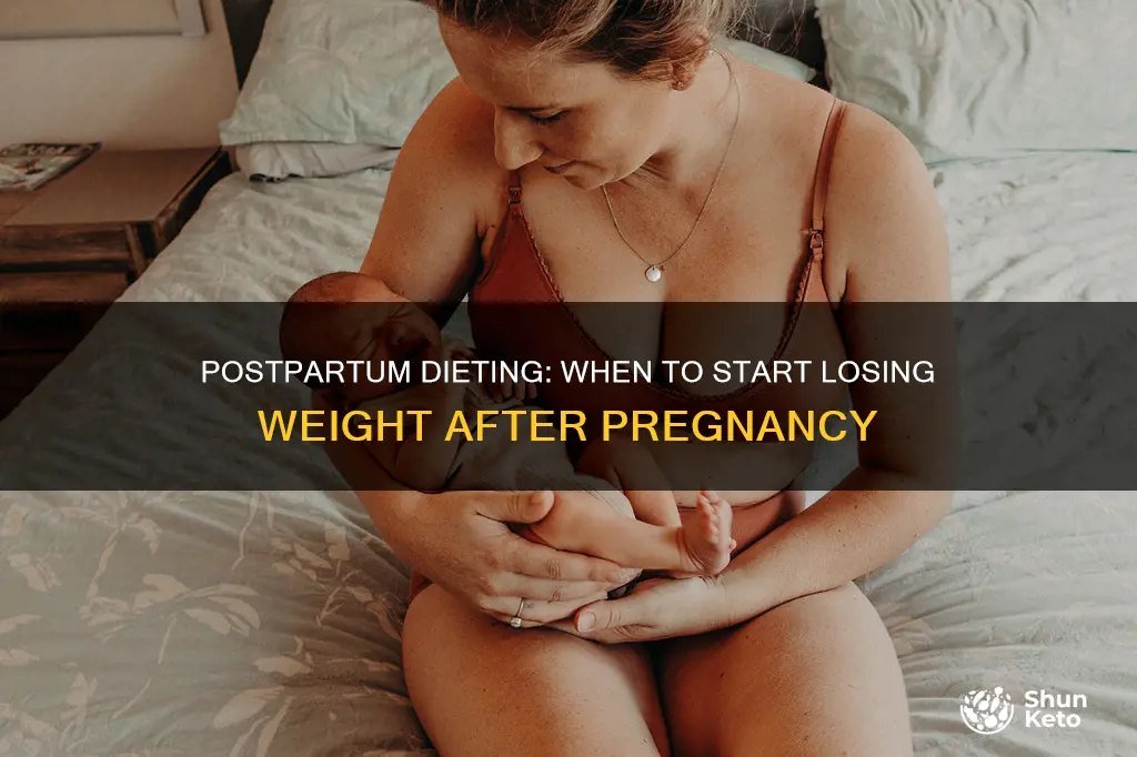 how long do you wait to diet after having baby