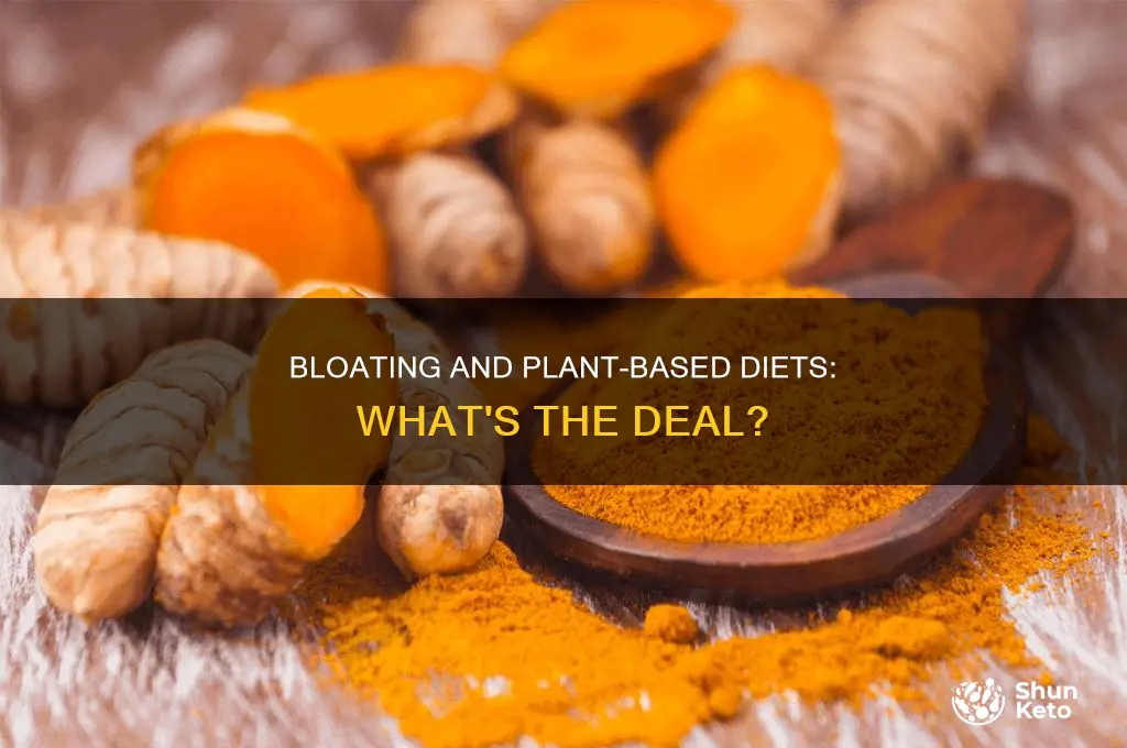 how long does bloating last plant-based diet