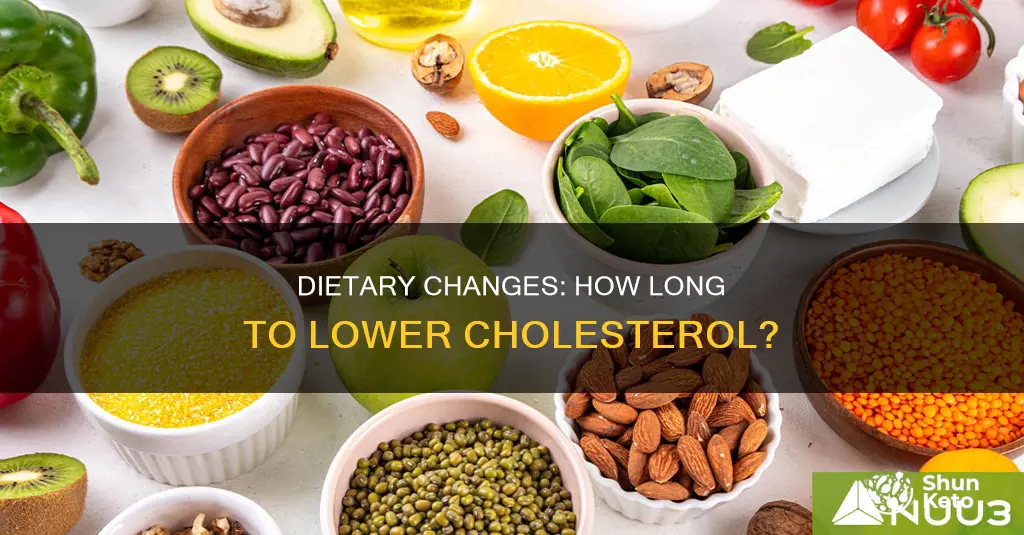 how long does blood cholesteral change with diet