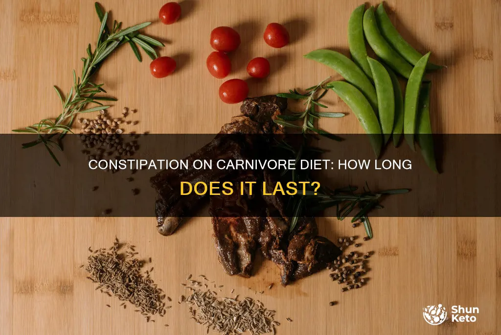 how long does constipation last on carnivore diet