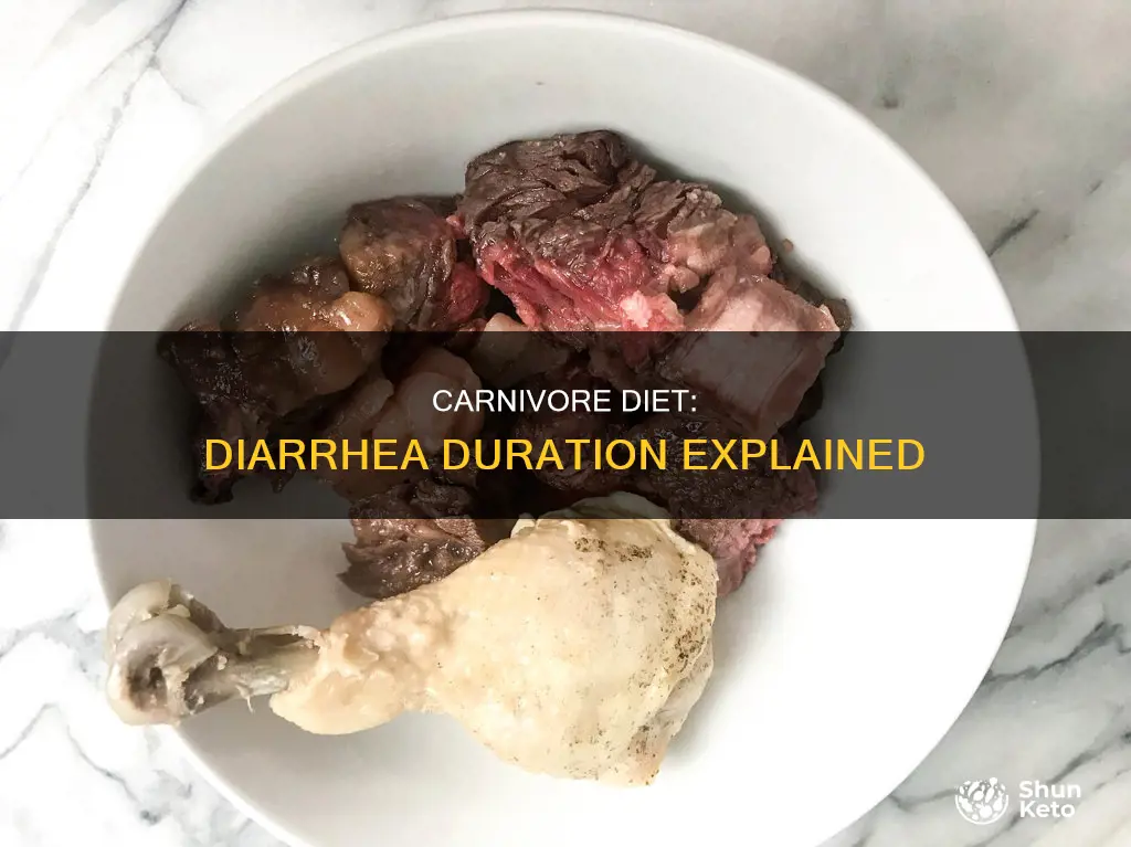 how long does diarrhea last on carnivore diet