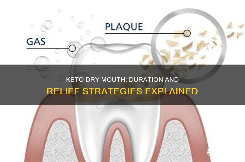 how long does dry mouth last on keto diet