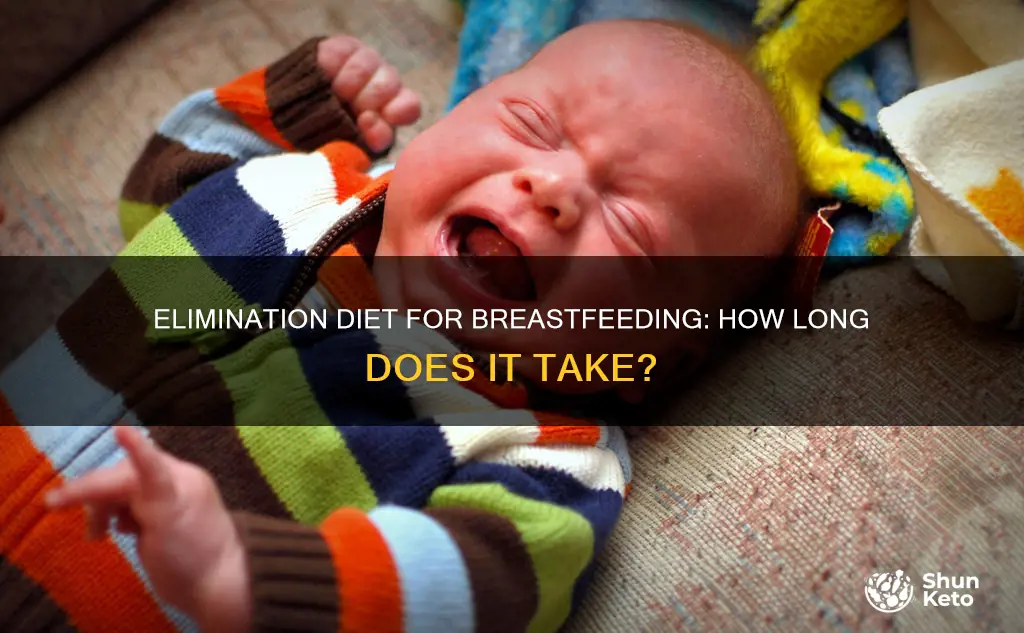 how long does elimination diet take for breast feeding