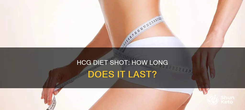 how long does hcg diet shot stay in system