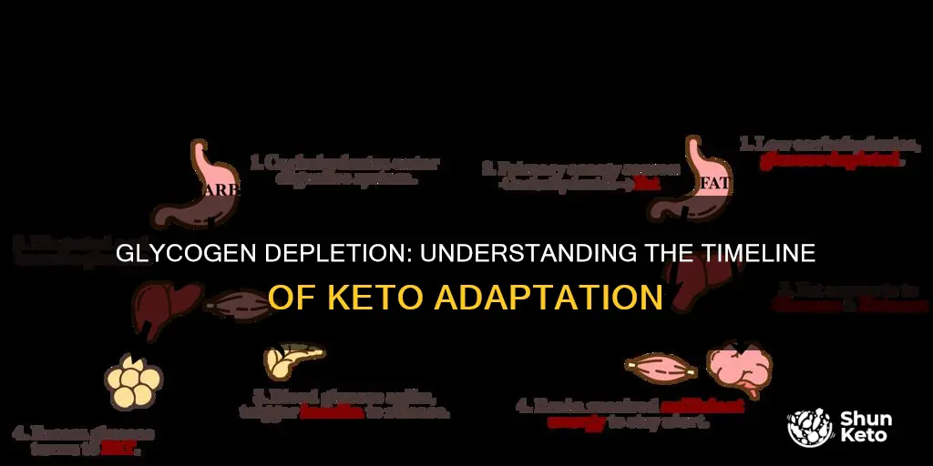 how long does I have to deplete glycogen stores keto