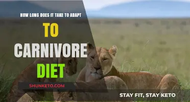 Adapting to the Carnivore Diet: How Long Does It Take?