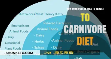 Adjusting to the Carnivore Diet: How Long Does It Take?
