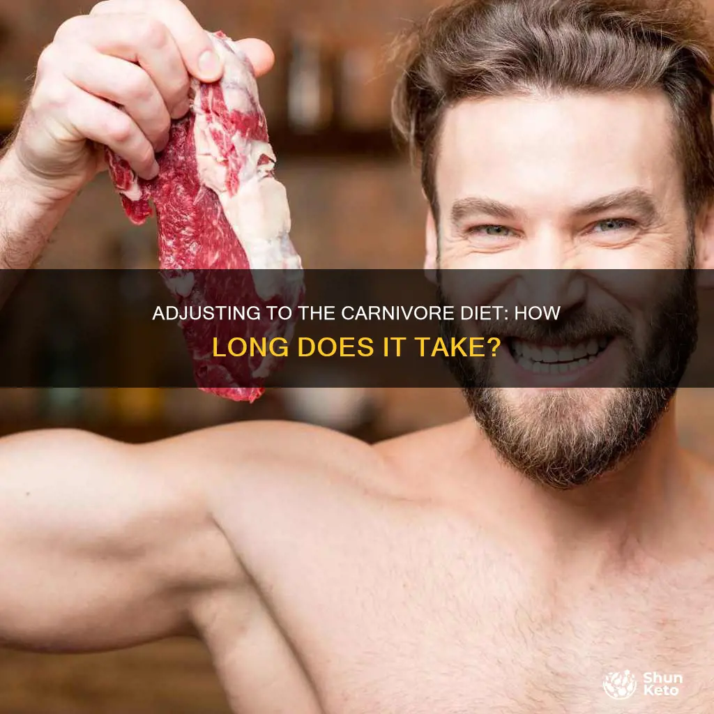 how long does it take to adjust to carnivore diet