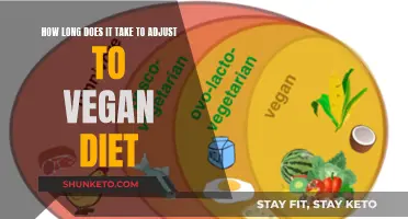 Vegan Diet: Adjusting to a New Lifestyle Quickly