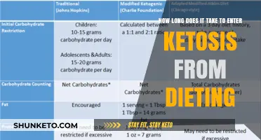 Ketosis Diet: How Long to Enter the Fat-Burning Zone?