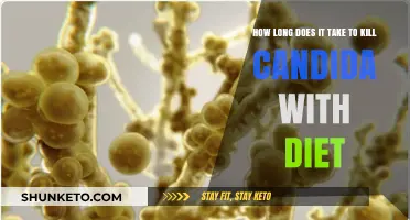 Eradicating Candida: The Diet Timeline