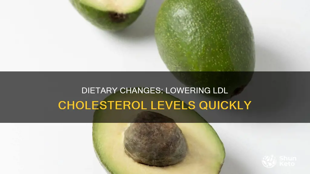 how long does it take to reduce ldl with diet