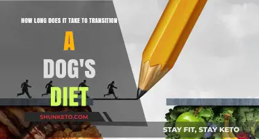 Gradual Diet Transition for Dogs: How Long Does It Take?