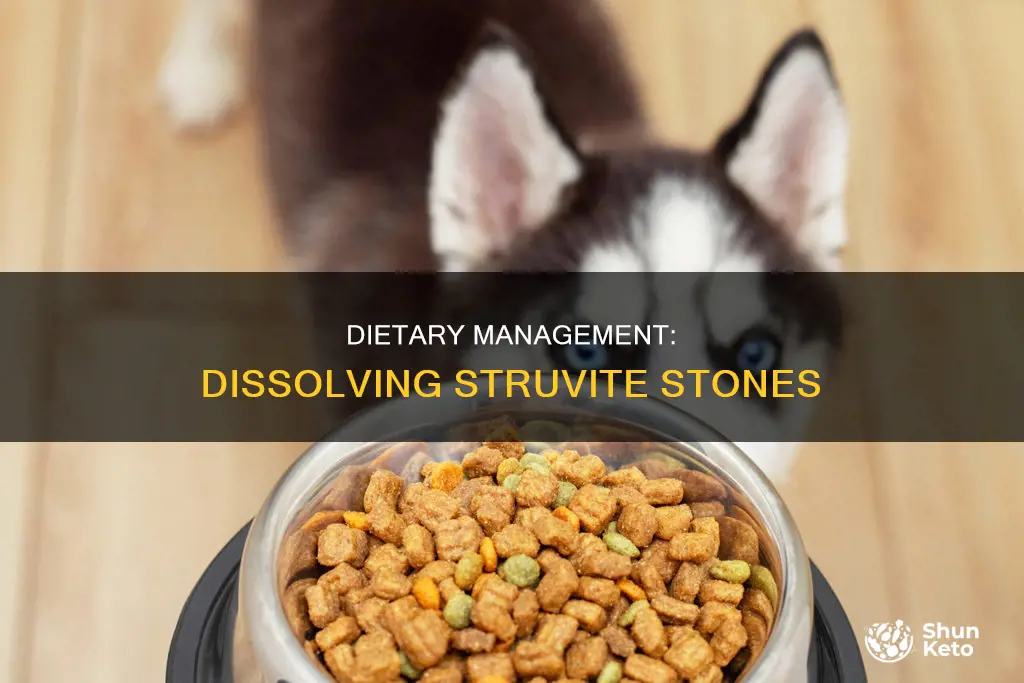 how long does it take ur diet to dissolve struvited