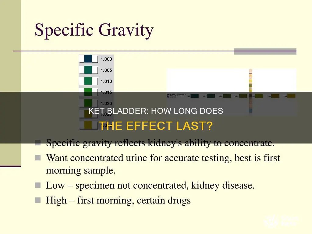 how long does ket bladder last