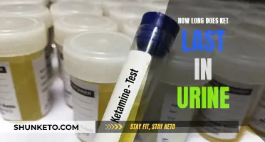 Ket in Urine: How Long Does it Stay Detectable?