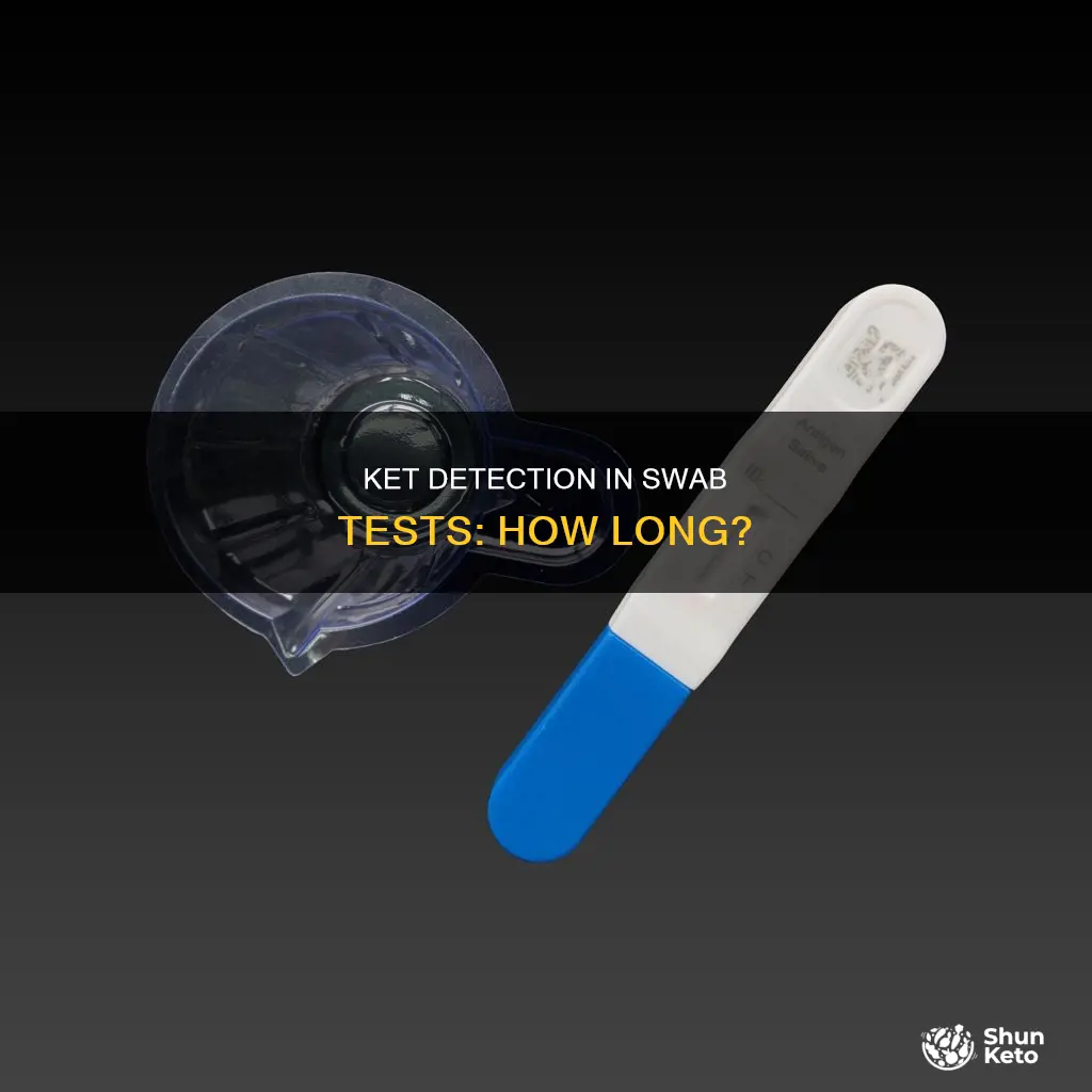 how long does ket stay in your system swab test