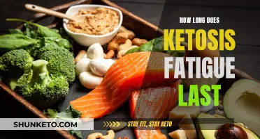 Understanding Ketosis Fatigue and How Long It Lingers