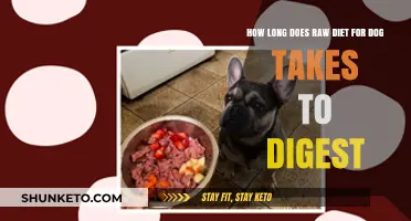 Raw Dog Food: How Long Does It Take to Digest?