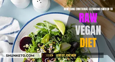 Emotional Cleanse: Raw Vegan Diet Switch for a Fresh Start