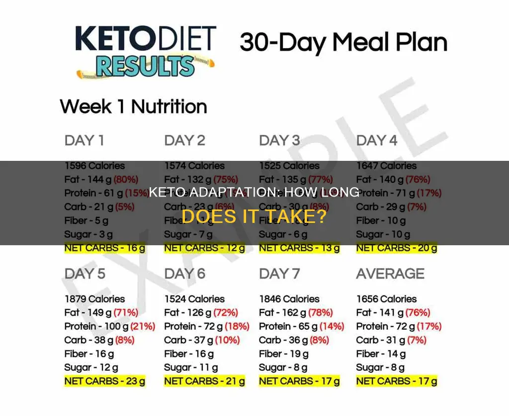 how long for body to adjust to keto