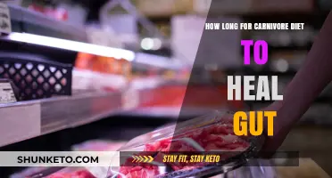 Healing Your Gut: Carnivore Diet Results Over Time