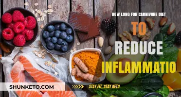 Carnivore Diet: Reducing Inflammation, How Long?