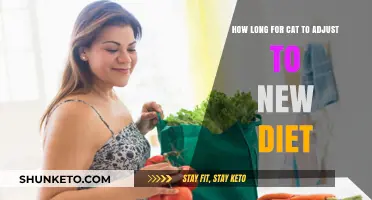 Transitioning Your Cat to a New Diet: How Long Does it Take?