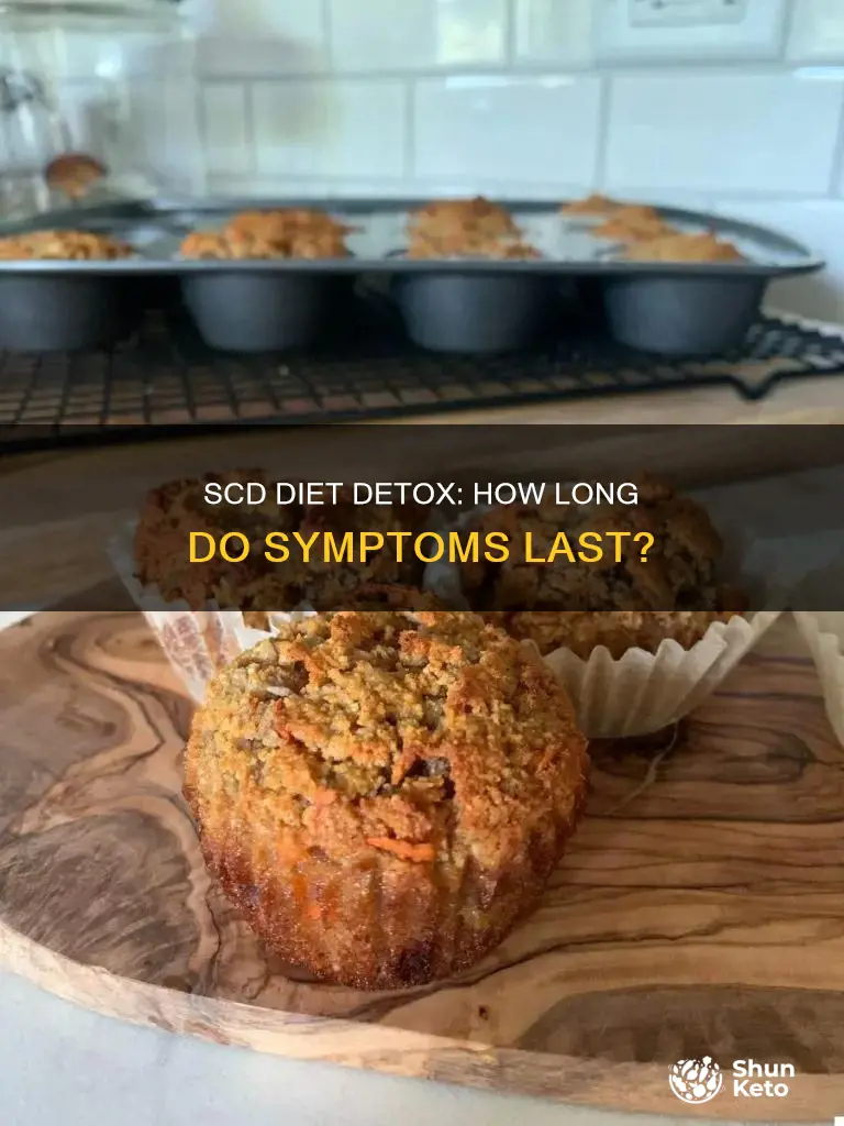 how long for detox symptoms when strictly scd diet