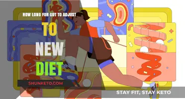 Adjusting to a New Diet: How Long for Gut Adaptation?