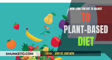 Plant-Based Diet: Gut Adjustment Timeline and Factors