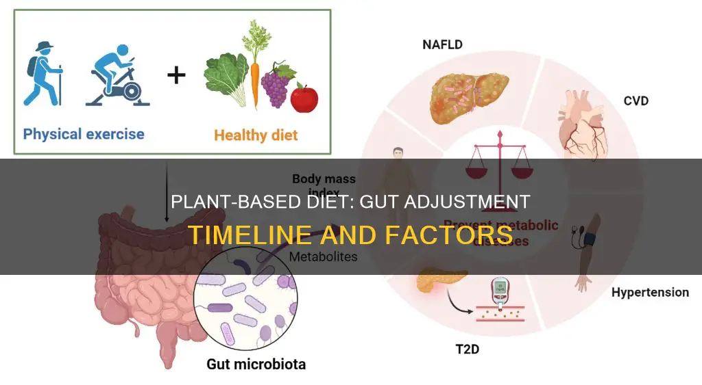 how long for gut to adjust to plant-based diet