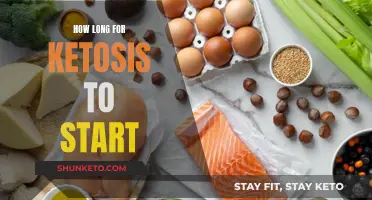 Getting Ketosis Started: How Long Does It Take?