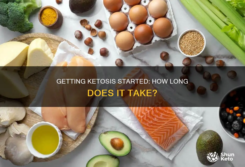 how long for ketosis to start