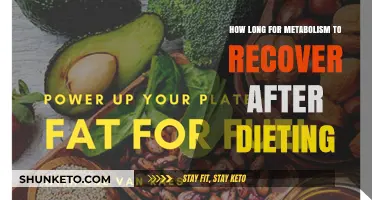Metabolism Recovery: How Long After Dieting?
