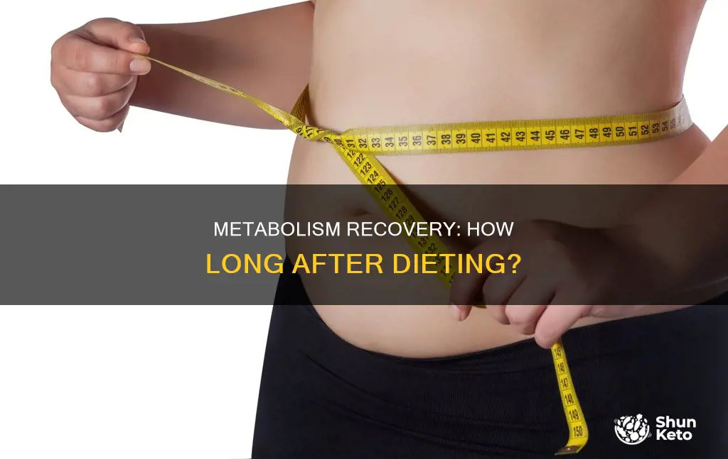 how long for metabolism to recover after dieting