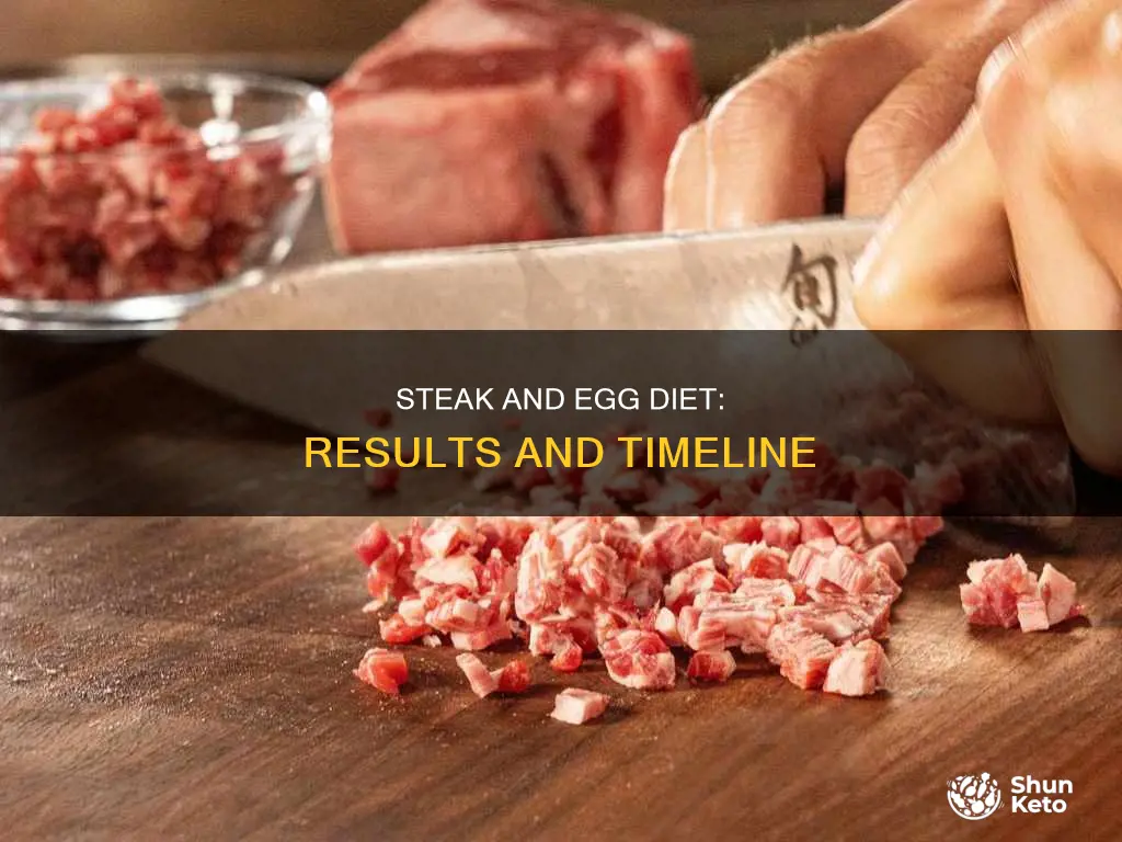 how long for results with steak and egg diet