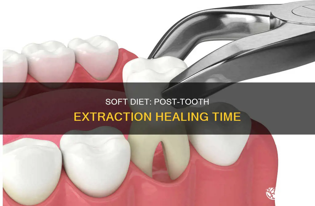 how long for soft diet after tooth extraction