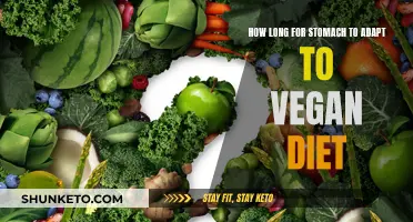 Stomach Adjustment to a Vegan Diet: Timeline and Tips