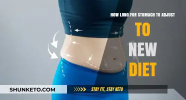 Adjusting to a New Diet: How Long for Results?