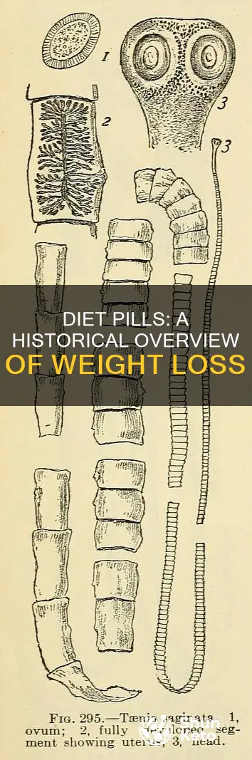 how long have diet pills been around
