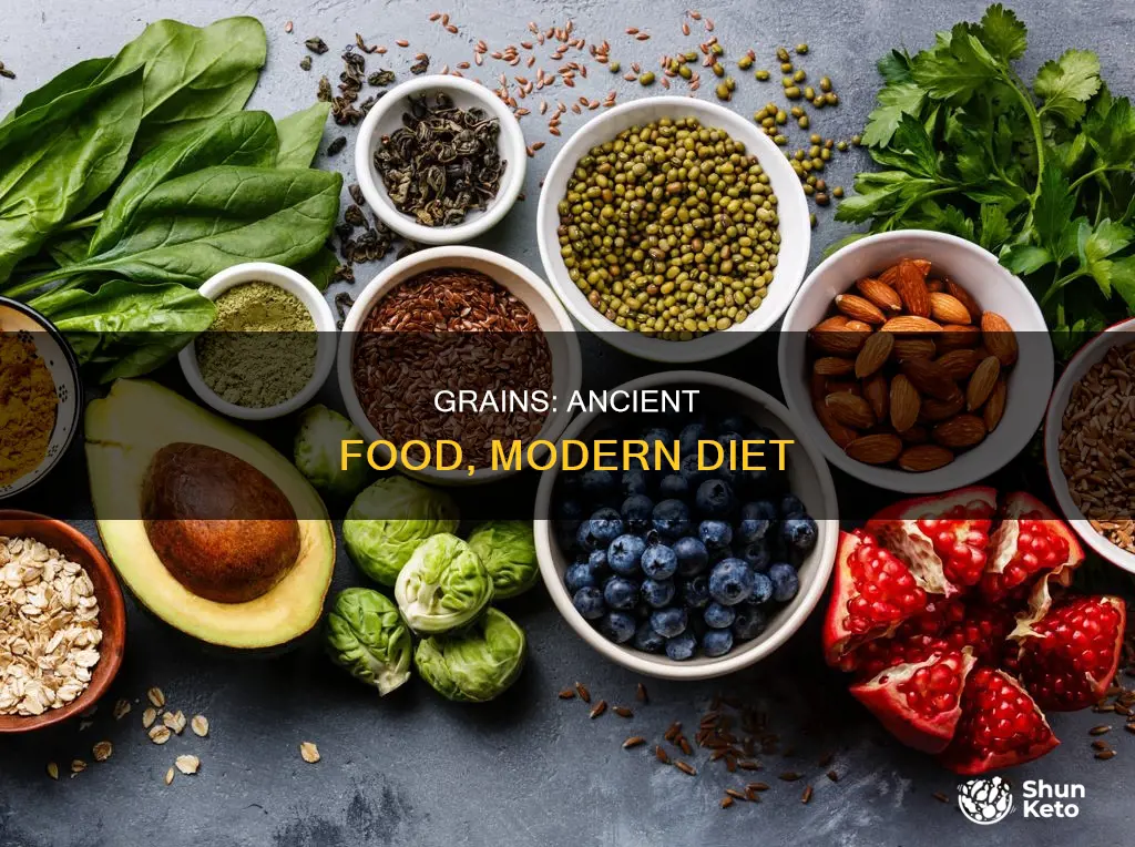 how long have grains been in the human diet