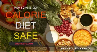 Calorie Counting: Is a 1200 Diet Safe?