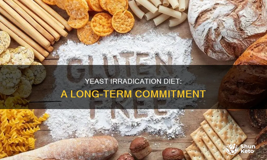 how long is a yeast irradication diet