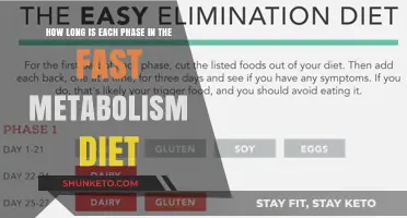 The Fast Metabolism Diet: Understanding Each Phase's Duration