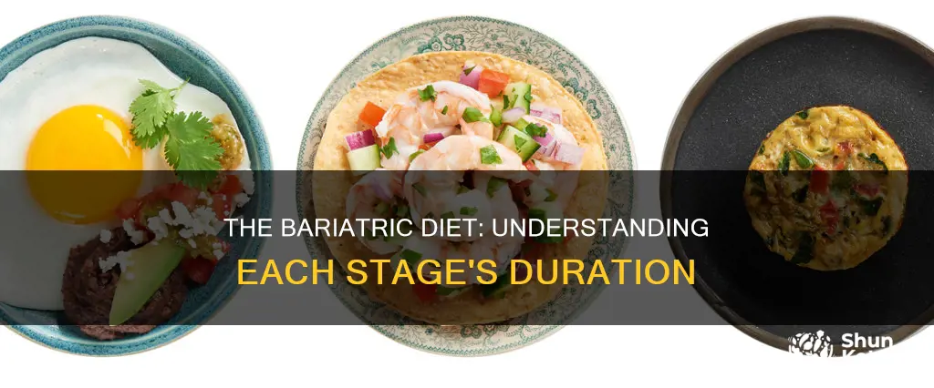 how long is each stage of bariatric diet