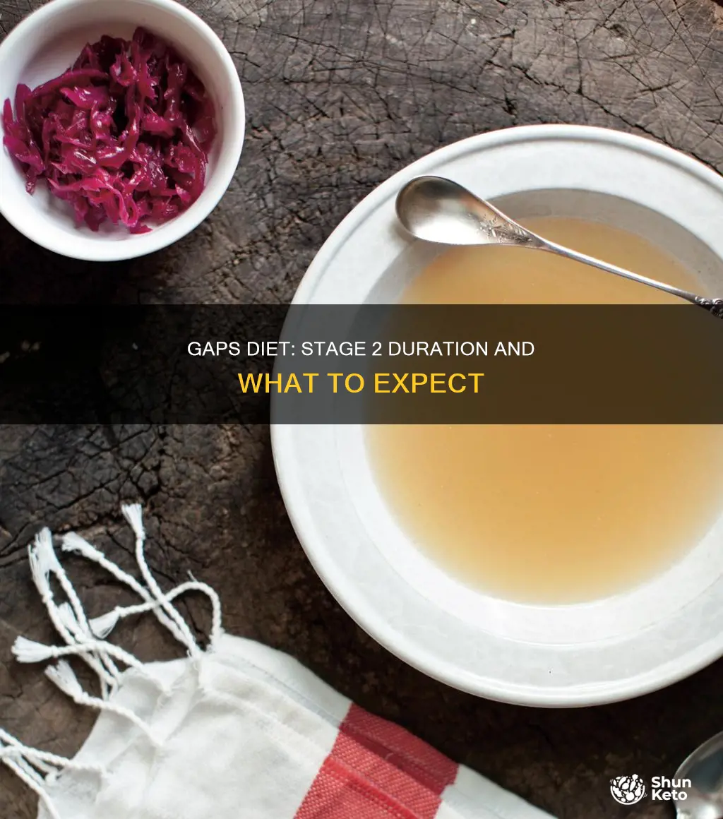 how long is stage 2 of gaps diet