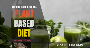 Detoxing on a Plant-Based Diet: How Long Does It Take?