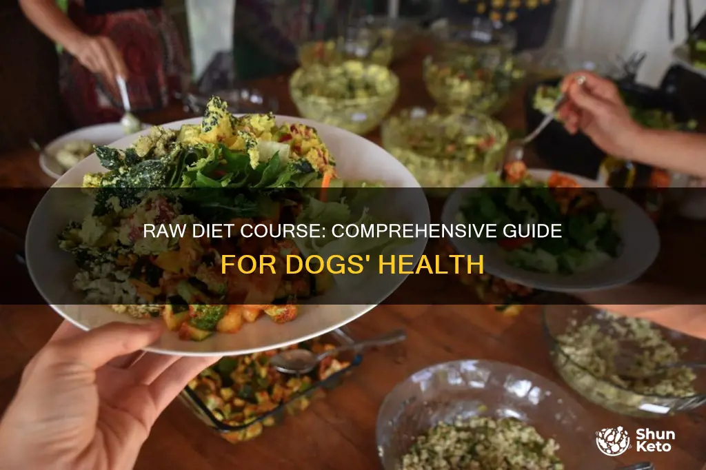 how long is the dogs naturally raw diet course