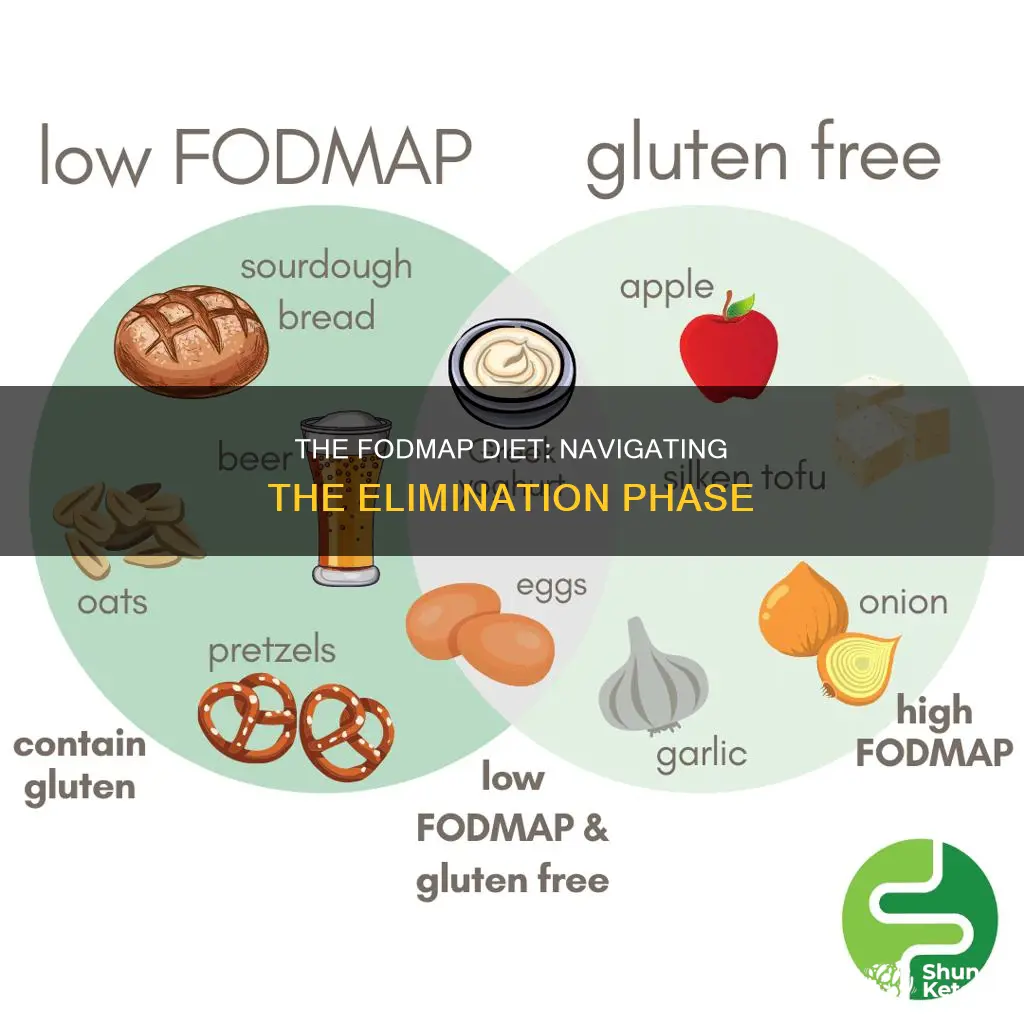 how long is the elimination phase of the fodmap diet